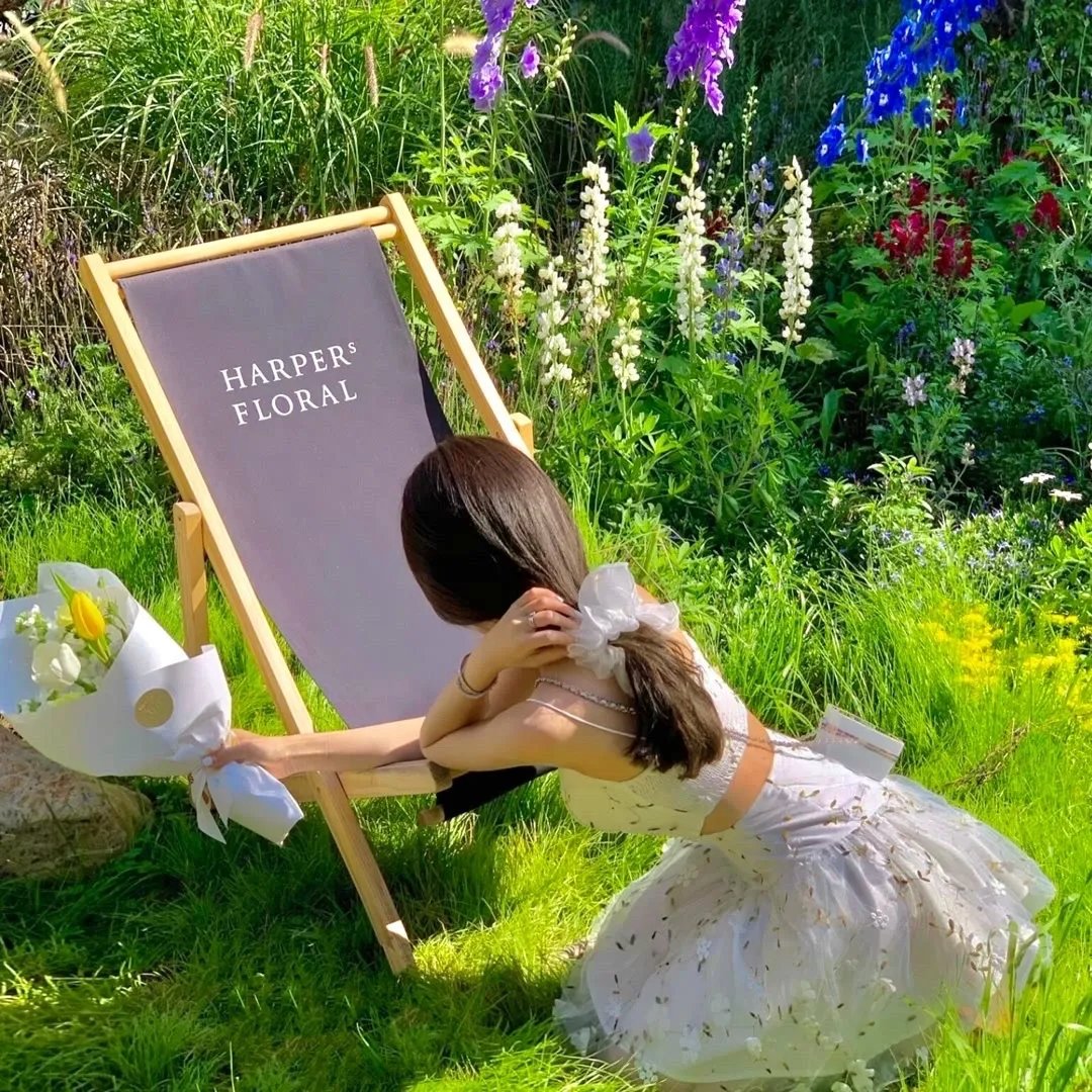 王冠的游戏：都铎家族