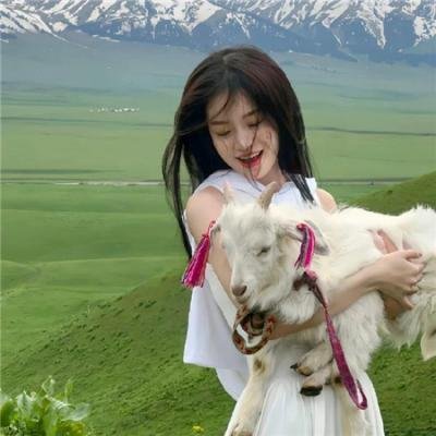 摩斯探长第四季